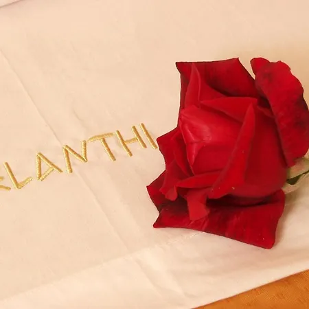 Elanthi Village 2*